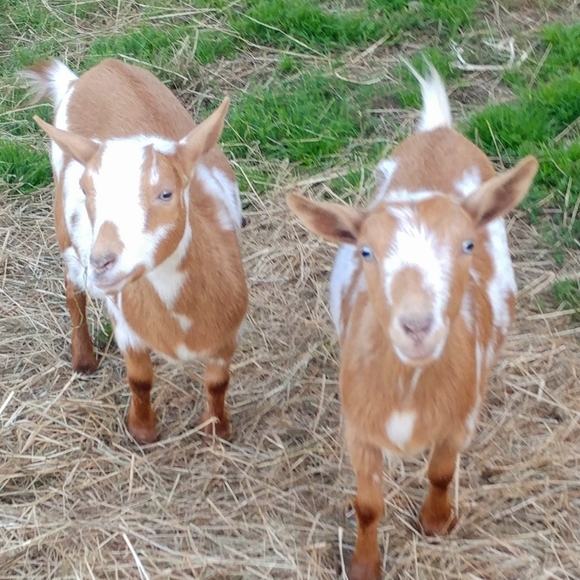 MEET MY KIDS! - Picture 4 of 10